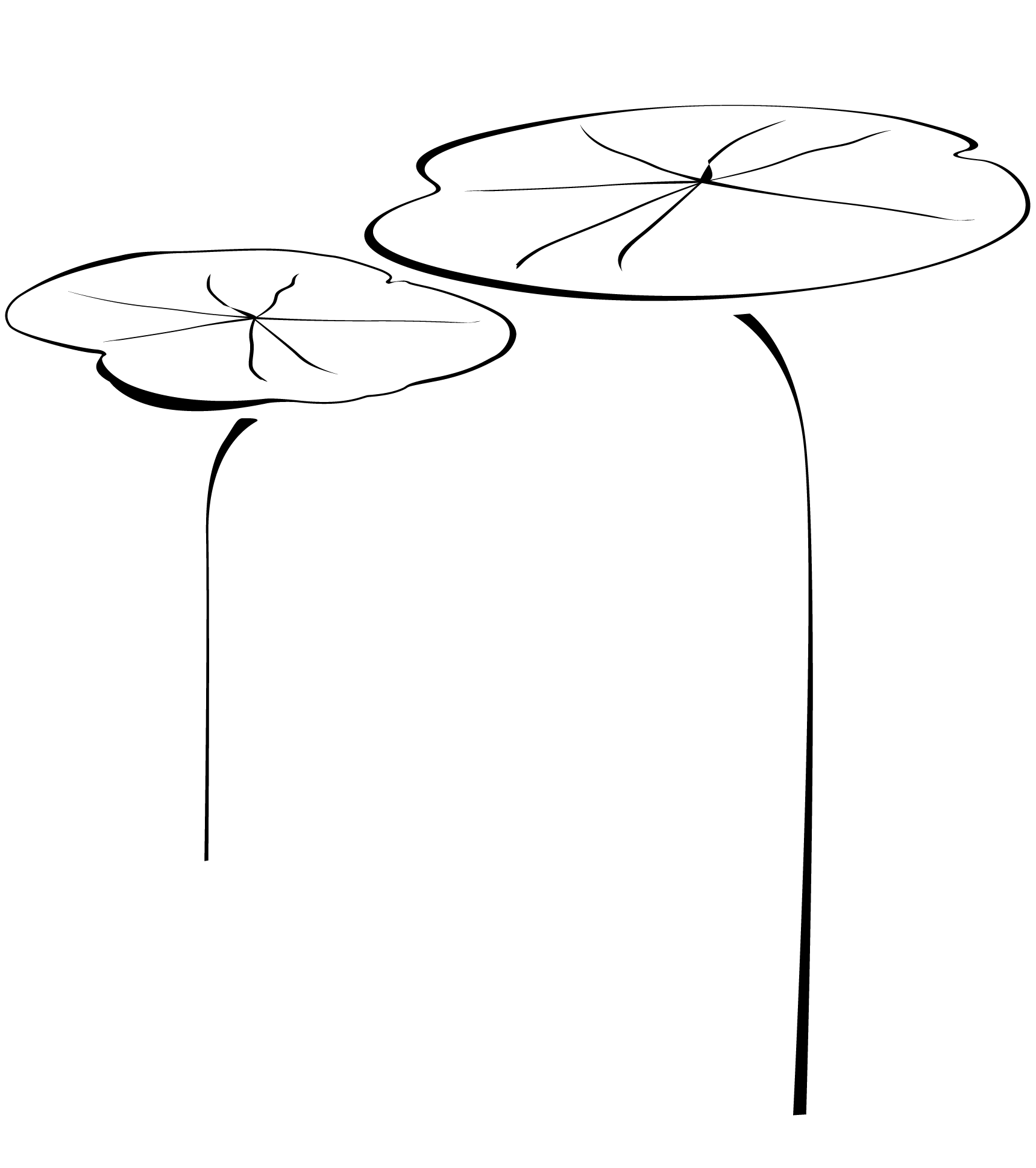 Eine Illustration, die 2 schwimmende Seerosenblätter darstellt im Stil von Sumi-e umgesetzt